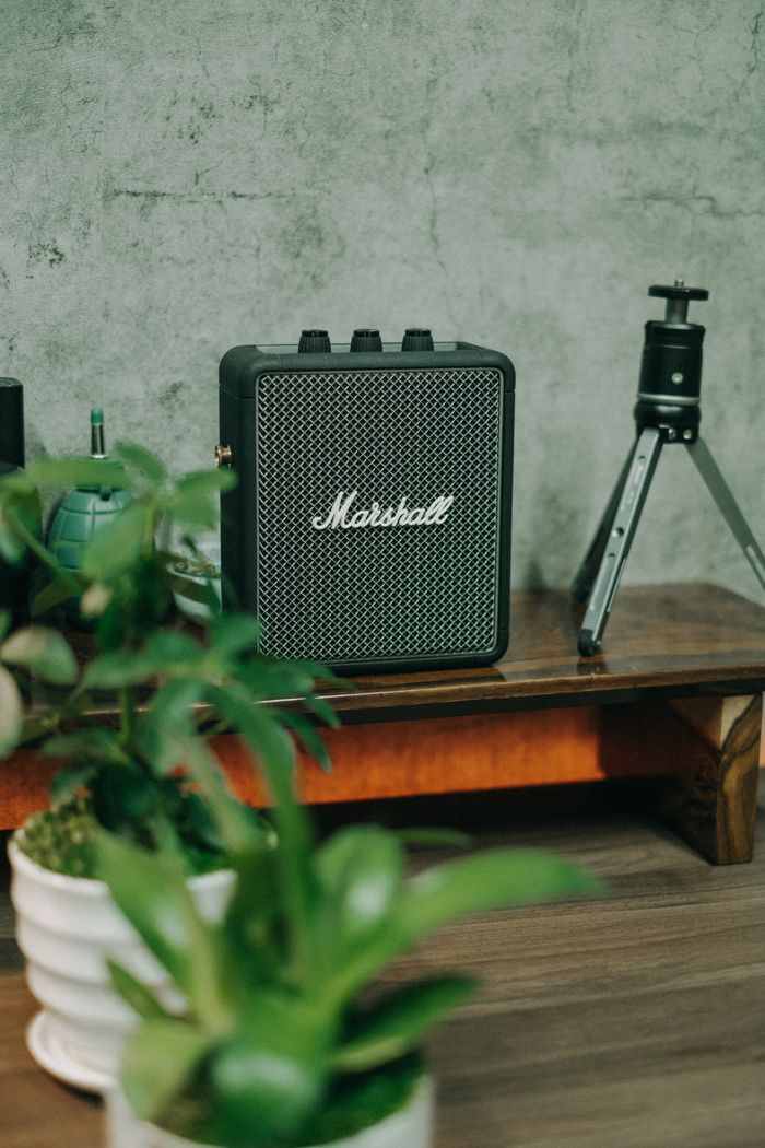 why-choose-us Stylish home interior featuring a Marshall speaker, green plants, and a small tripod on a wooden shelf.